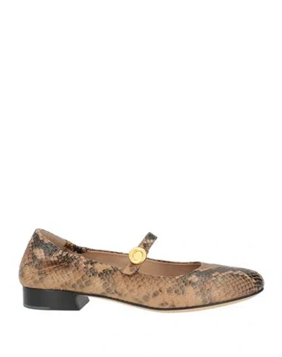 Pomme D'or Woman Ballet Flats Camel Size 7 Leather In Multi