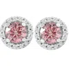 Pompeii3 1/2 Ct Halo Pink Diamond Lab Grown Diamond Studs White Gold Screw Back Earrings In Multi