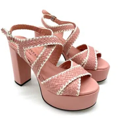 Pons Quintana 'kandy' Sandal In Pink