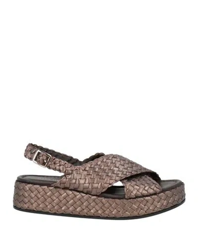 Pons Quintana Woman Sandals Bronze Size 8 Leather In Brown