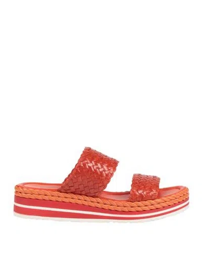 Pons Quintana Woman Sandals Orange Size 10 Leather