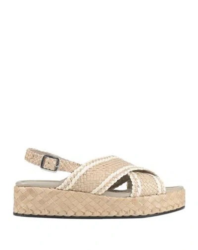 Pons Quintana Woman Sandals Sand Size 7 Leather In Multi