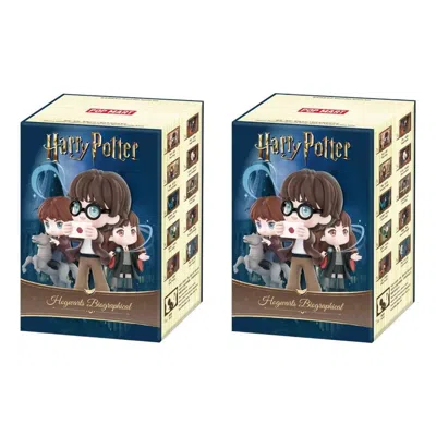 Pop Mart Harry Potter Hogwarts Biographical Print Sets Sealed Case (2 Blind Boxes) In Brown