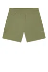 Pop Trading Company Painter Shorts In Green