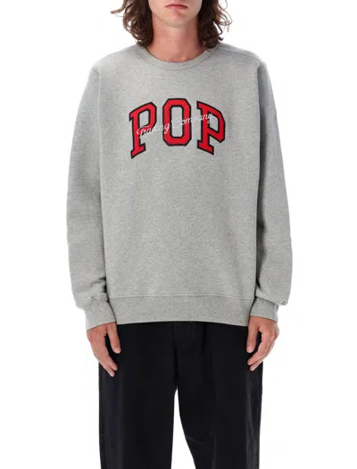 Pop Trading Company Pop Trading Company Pop Crewneck In Grey