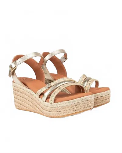 Popa Women's Albany Wedge In Gold