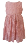 Popatu Sleeveless Lace Dress In Dusty Pink