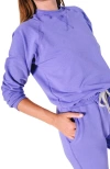 Poplinen Plus Agnes Raglan Organic Cotton + Tencel Sweatshirt In Veri Peri