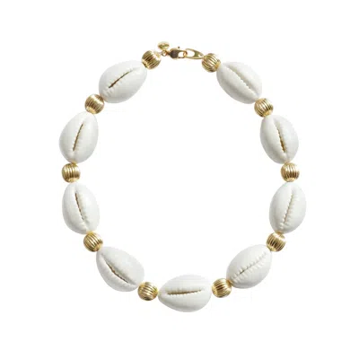 Poporcelain Women's Gold / White Porcelain Cowrie Shell Collar Necklace In Multi