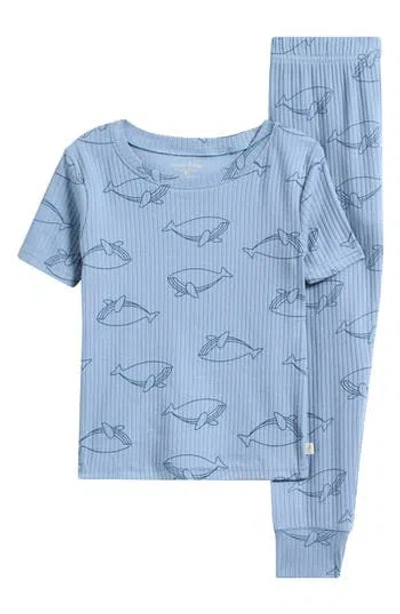 Poppy & Clay Kids' Harmony Rib Fitted Two-piece Pajamas In Blue