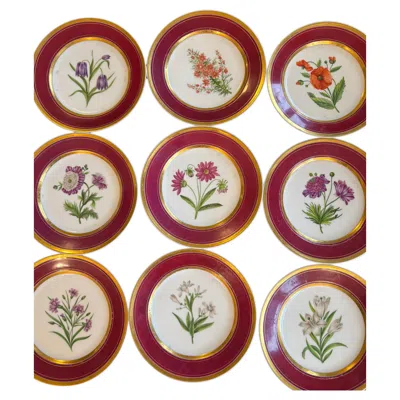 Pre-owned Porcelaine De Paris , Manufacture Neppel - Set Of 9 Handpainted Flower Plates In Sand