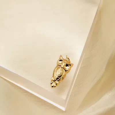 Pori Jewelry 14k Gold Owl Charm Lucky Charm Pendant