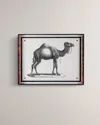 Port 68 Camel Giclee In Multi