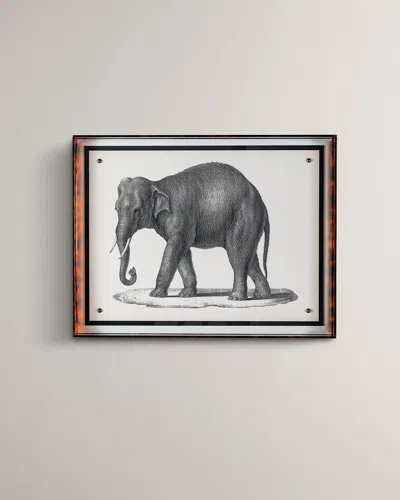 Port 68 Elephant Giclee In Multi