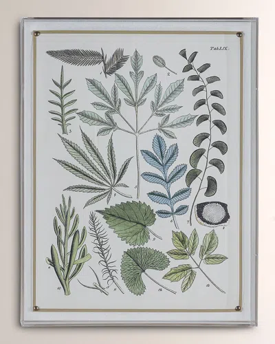 Port 68 Fern Vii Giclee In Multi