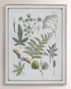 Port 68 Ferns Vi Giclee In Green
