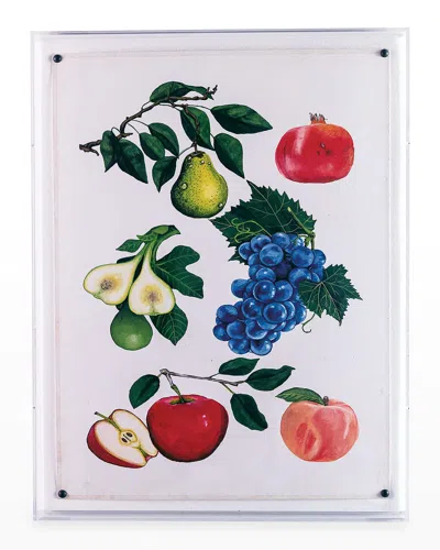 Port 68 Fruit I Giclee Print Wall Art In Multi