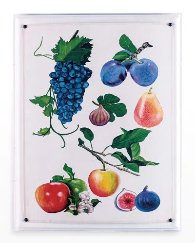 Port 68 Fruit Ii Giclee Print Wall Art In Multi