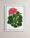 Port 68 Geranium I Giclee Print In Multi