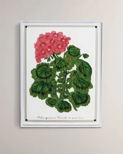 Port 68 Geranium I Giclee Print In Multi
