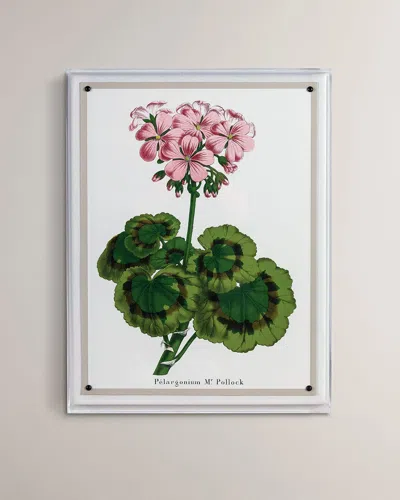 Port 68 Geranium Ii Giclee Print In Multi