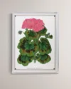 Port 68 Geranium Iii Giclee Print In Green