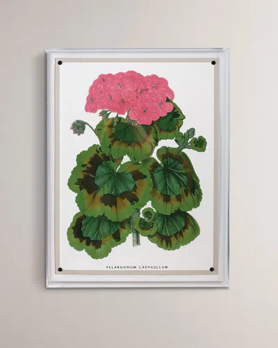 Port 68 Geranium Iii Giclee Print In Multi