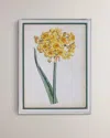 Port 68 Narcissus I Giclee Print In Multi