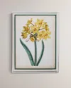 Port 68 Narcissus Ii Giclee Print In Multi