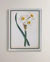 Port 68 Narcissus Iii Giclee Print In Multi