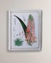 Port 68 Tropicals I Giclee In Multi