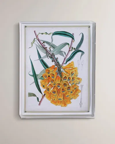 Port 68 Tropicals Vi Giclee In Multi