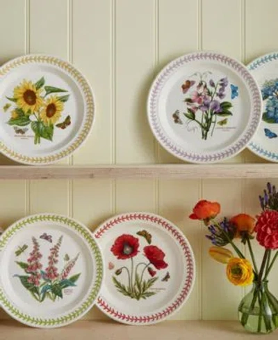 Portmeirion Botanic Garden Meadow Dinnerware Collection In White