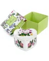 Portmeirion Botanic Garden Set Of Three Covered Boxes