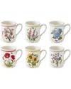 Portmeirion Set Of 6 Botanic Garden Meadow Breakfast Mugs In Multi