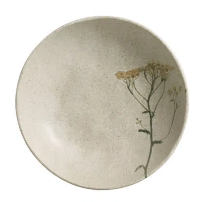 Porto Brasil Bio Stoneware Campestre Salad Bowl, 28 oz (set Of 6) In Ivory