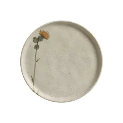 Porto Brasil Campestre Commercial Dishwasher Safe 6.1'' Stoneware Bread And Butter Plate , Set Of 6 In Ivory