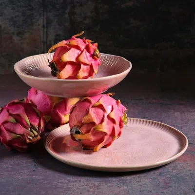 Porto Brasil Linhas Litchi Commercial Dishwasher Safe 10.8'' Stoneware Dinner Plate , Set Of 6 In Pink