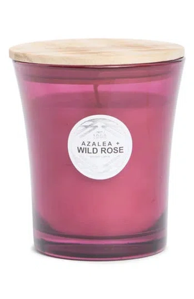 Portofino Candles Azalea & Wild Rose Candle In Purple