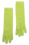 Portolano 13" Cashmere Gloves In Green