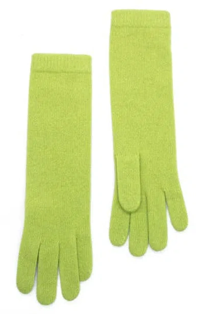 Portolano 13" Cashmere Gloves In Green