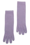 Portolano 13" Cashmere Gloves In Purple