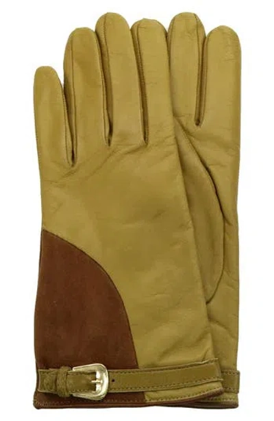 Portolano Belted Colorblock Leather Gloves In Green