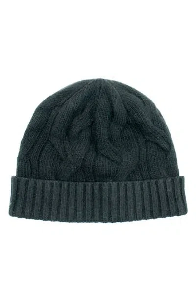 Portolano Cable Knit Cuff Cashmere Beanie In Green