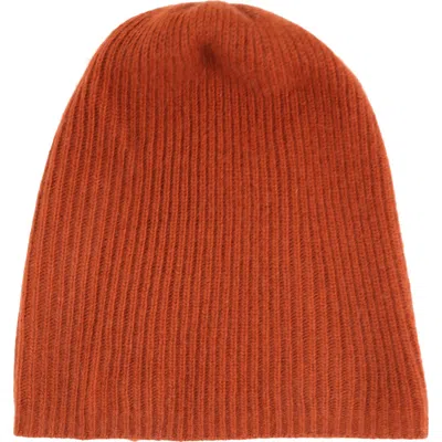 Portolano Cashmere Beanie In Brown