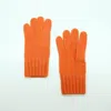 Portolano Cashmere Gloves In Multi