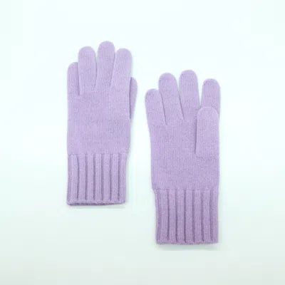 Portolano Cashmere Gloves In Purple