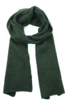 Portolano Cashmere Jersey Scarf In Green Menagerie