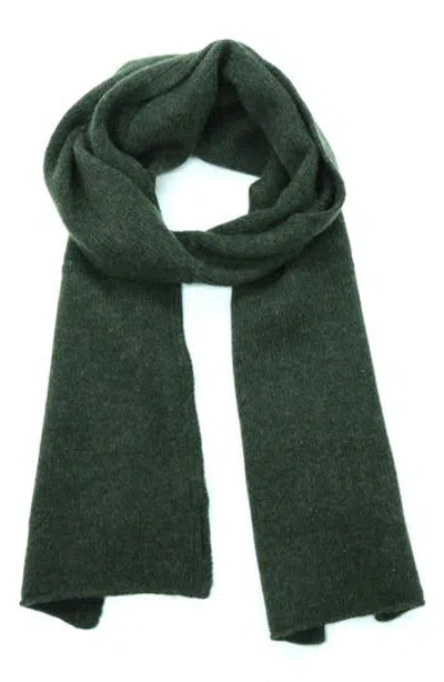 Portolano Cashmere Jersey Scarf In Green Menagerie
