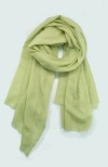 Portolano Cashmere Pashmina Wrap With Fringes In Green